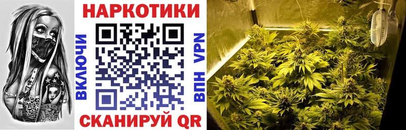 Где купить наркотики Пыталово КОКАИН  Alpha-PVP  ГАШИШ  Марихуана  МЕФ 