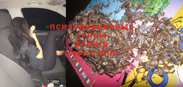 спиды Алексин